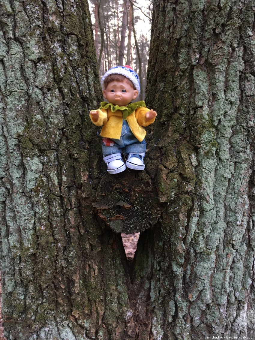 Прогулка под тёплым январским дождём (фото 7)