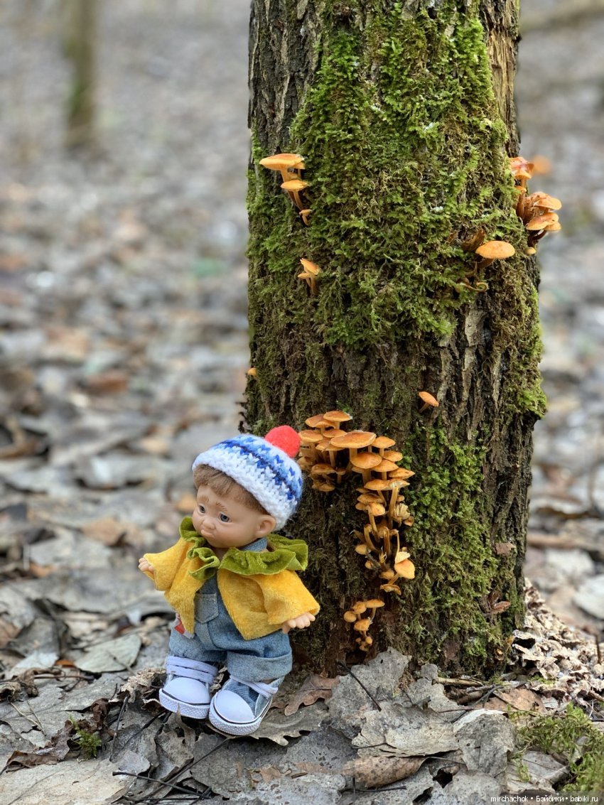 Прогулка под тёплым январским дождём