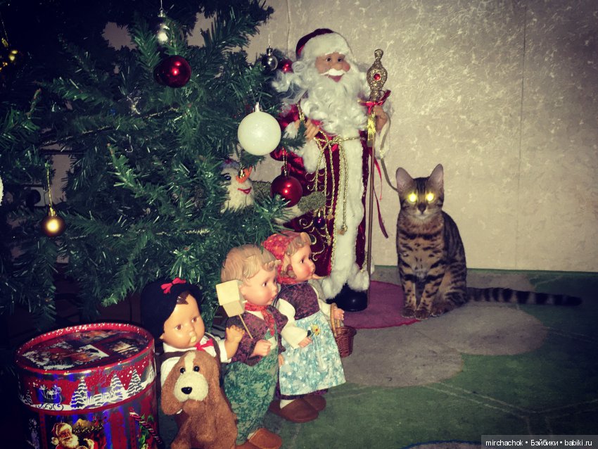 Прогулка под тёплым январским дождём