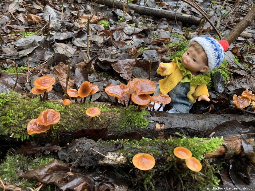 Прогулка под тёплым январским дождём