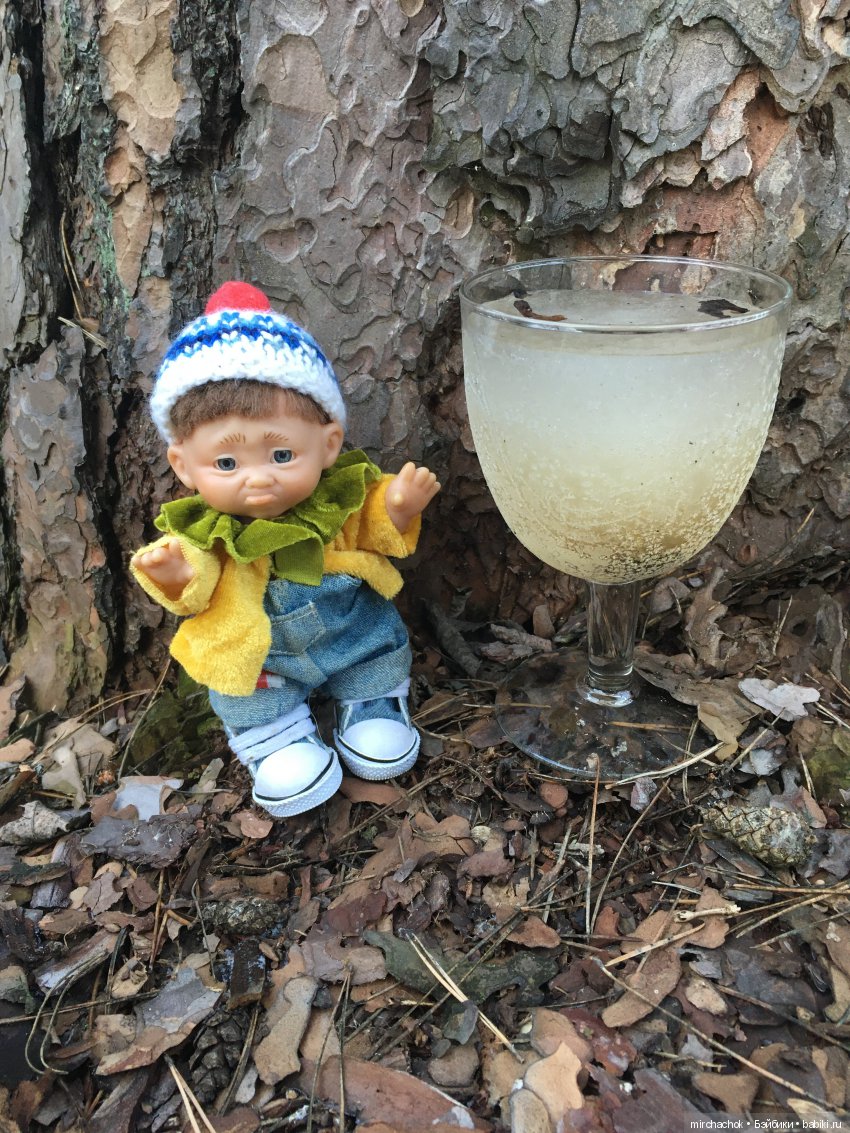 Прогулка под тёплым январским дождём (фото 6)