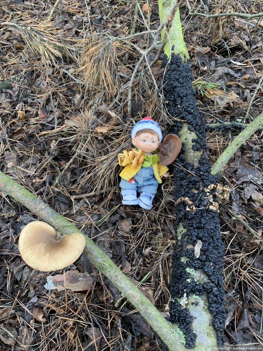 Прогулка под тёплым январским дождём