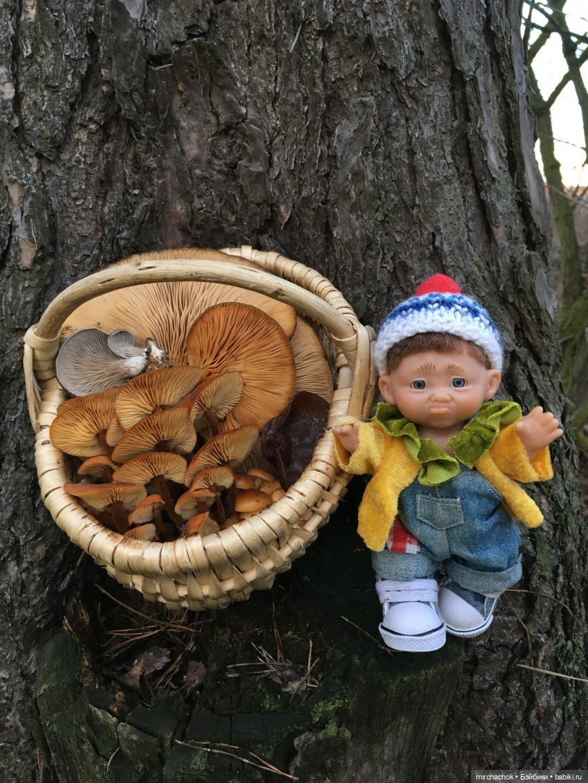 Прогулка под тёплым январским дождём