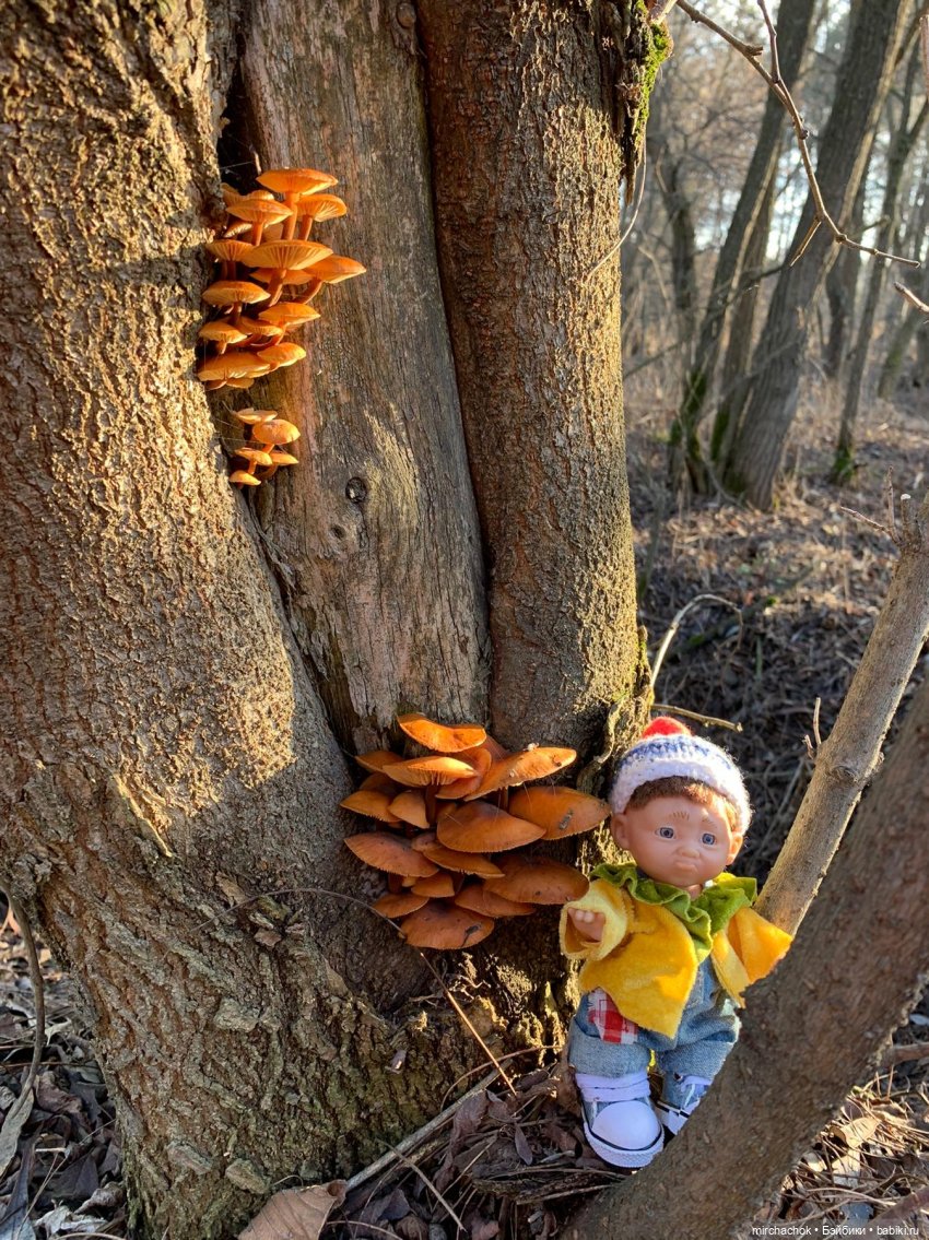 Прогулка под тёплым январским дождём