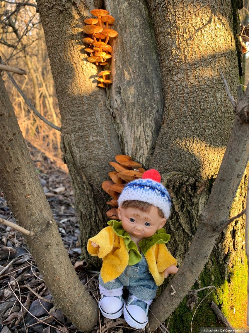 Прогулка под тёплым январским дождём (фото 10)