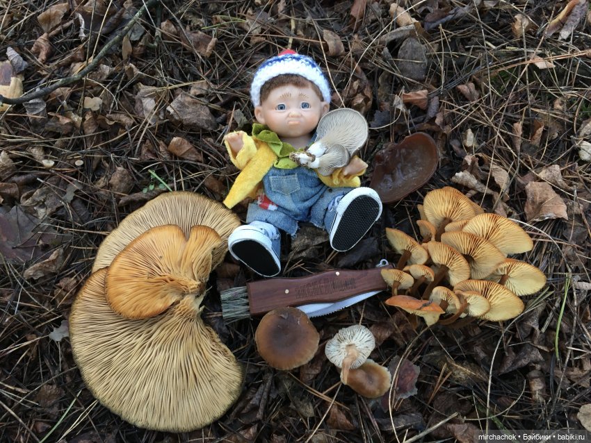 Прогулка под тёплым январским дождём