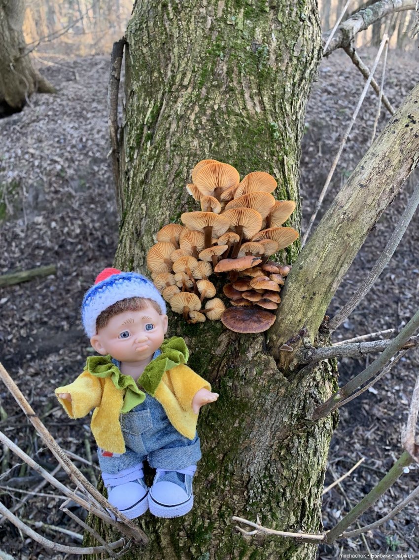 Прогулка под тёплым январским дождём