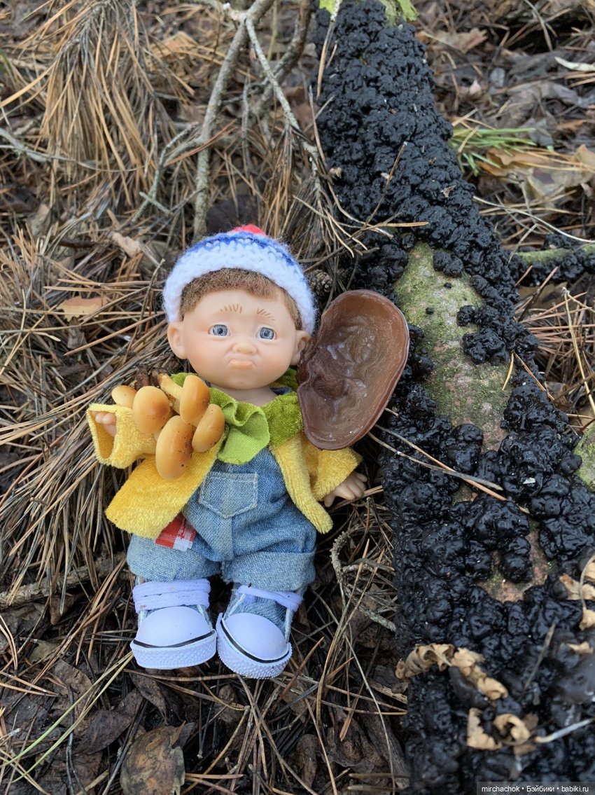 Прогулка под тёплым январским дождём (фото 3)