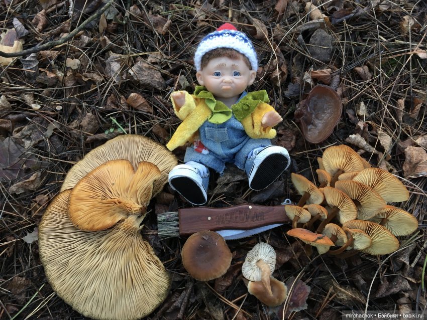 Прогулка под тёплым январским дождём