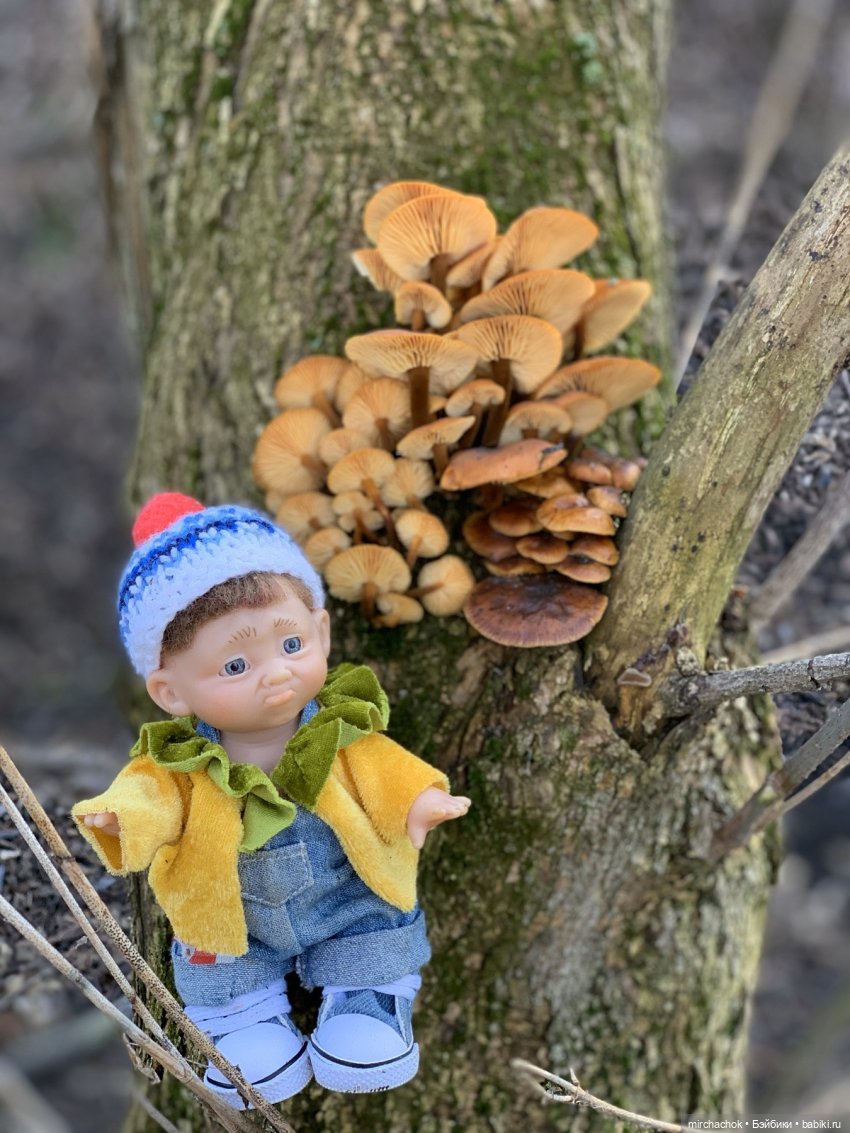 Прогулка под тёплым январским дождём