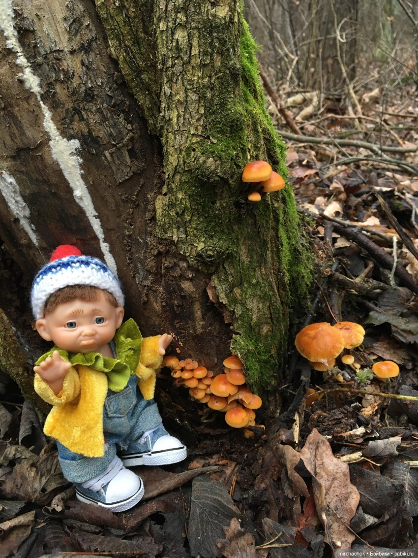 Прогулка под тёплым январским дождём