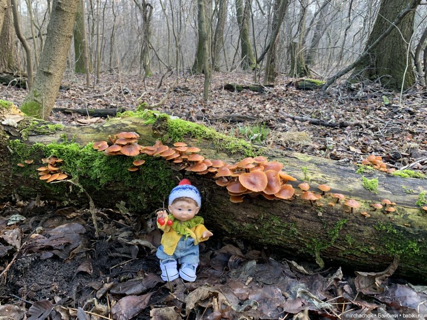 Прогулка под тёплым январским дождём