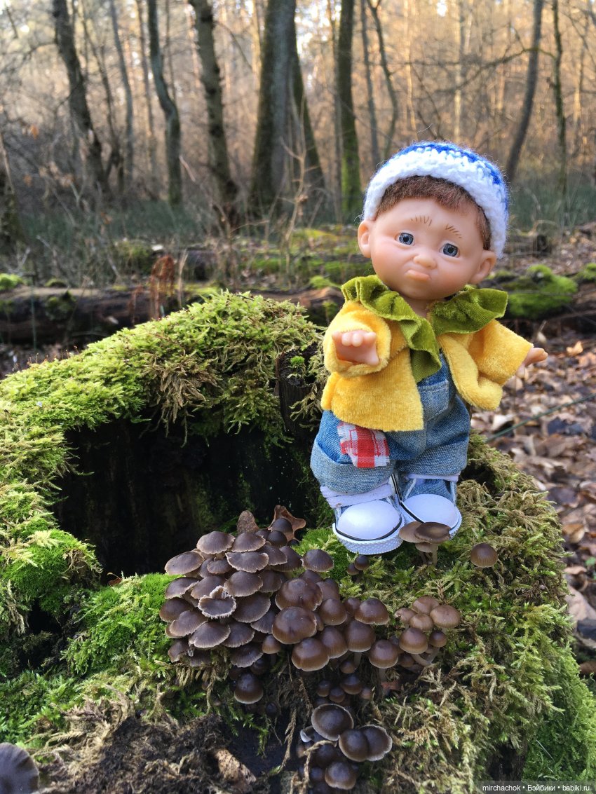 Прогулка под тёплым январским дождём