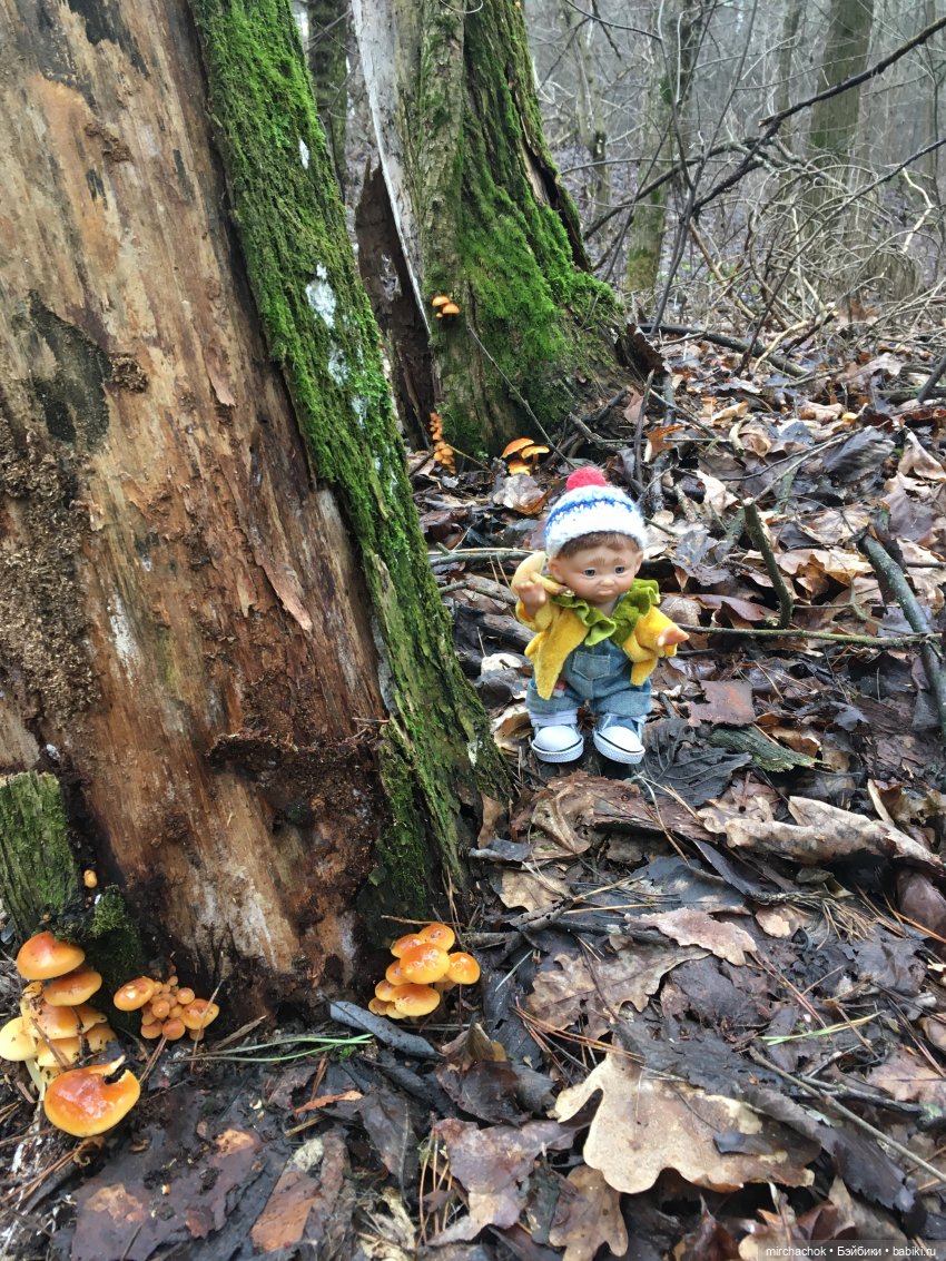 Прогулка под тёплым январским дождём