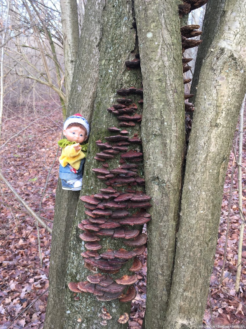 Прогулка под тёплым январским дождём