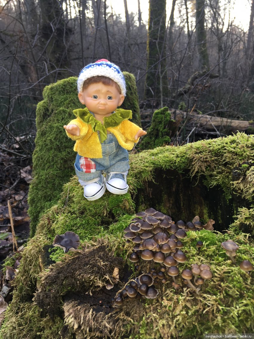 Прогулка под тёплым январским дождём