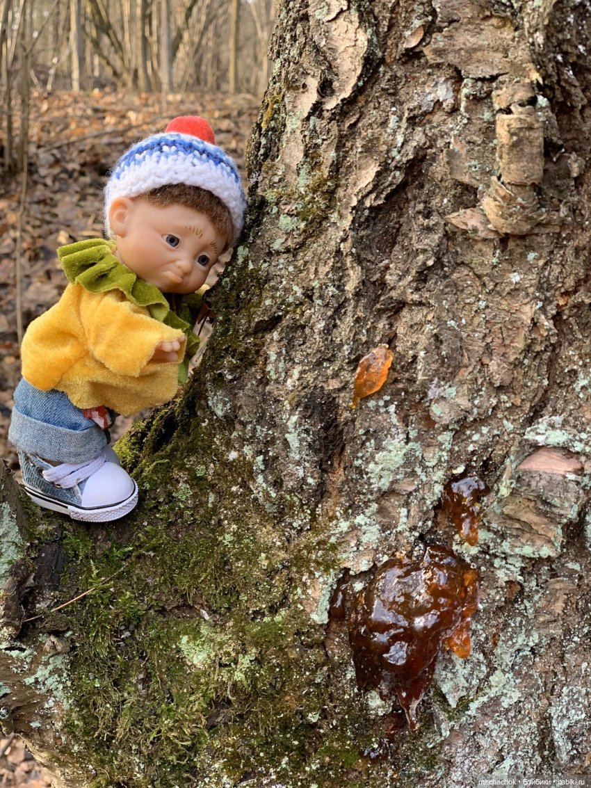 Прогулка под тёплым январским дождём