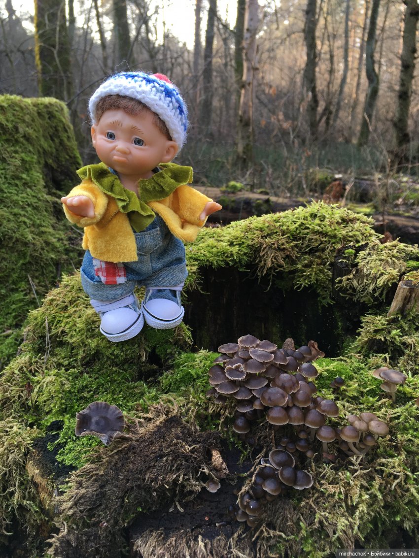 Прогулка под тёплым январским дождём