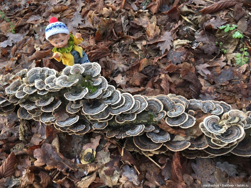Прогулка под тёплым январским дождём