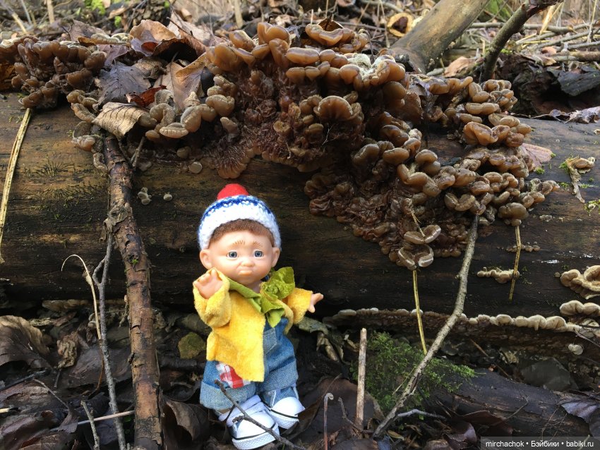 Прогулка под тёплым январским дождём