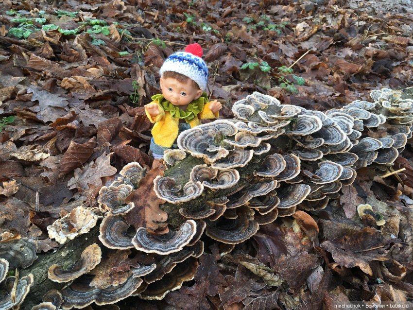Прогулка под тёплым январским дождём