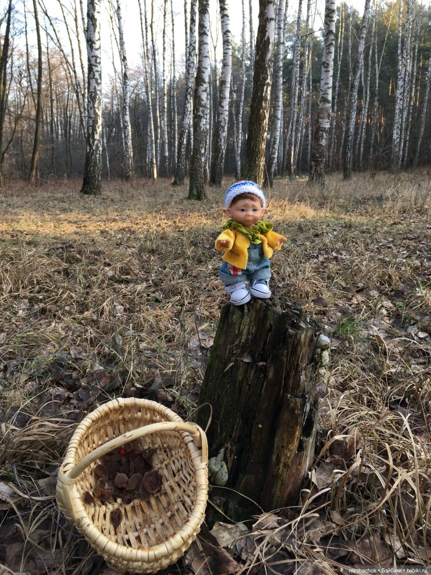 Прогулка под тёплым январским дождём