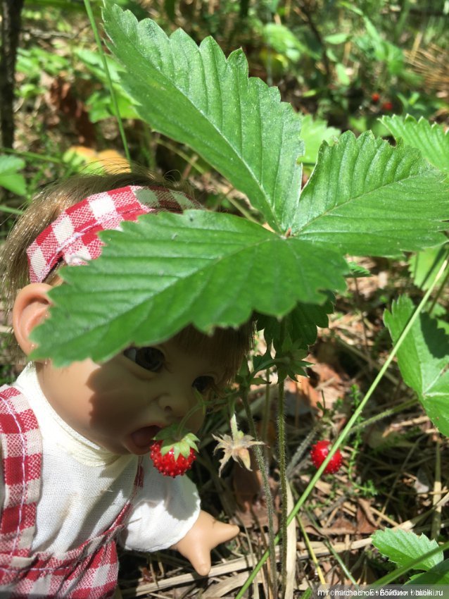 Данька-грибник! Как это было (фото 6)