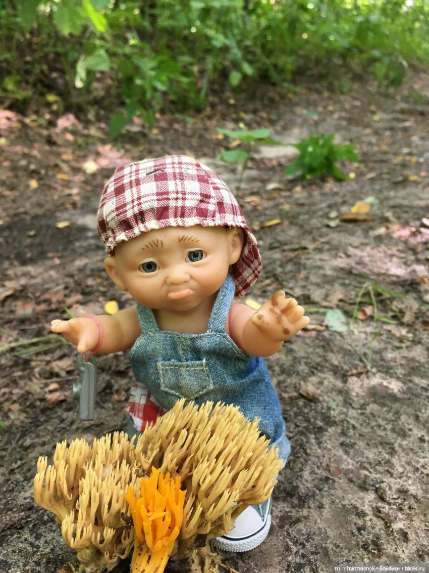 Данька-грибник! Как это было