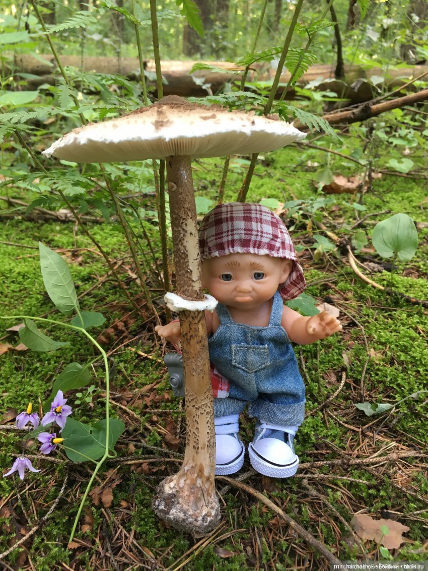 Данька-грибник! Как это было