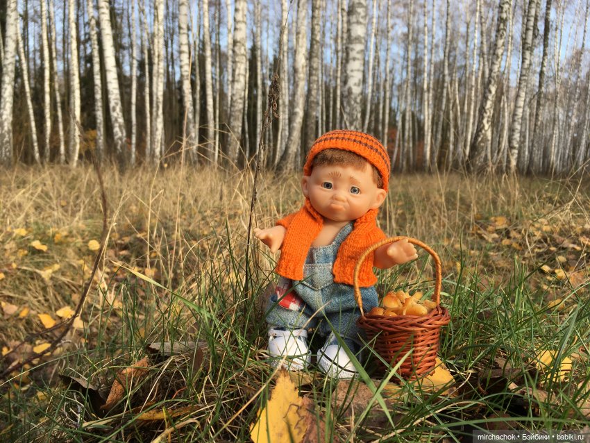 Данька-грибник! Как это было