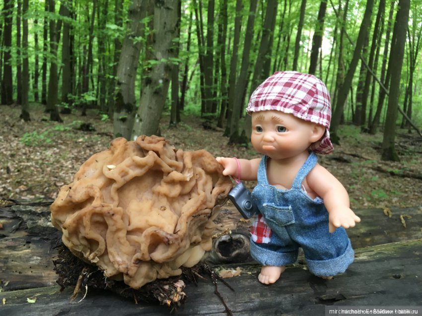 Данька-грибник! Как это было (фото 4)
