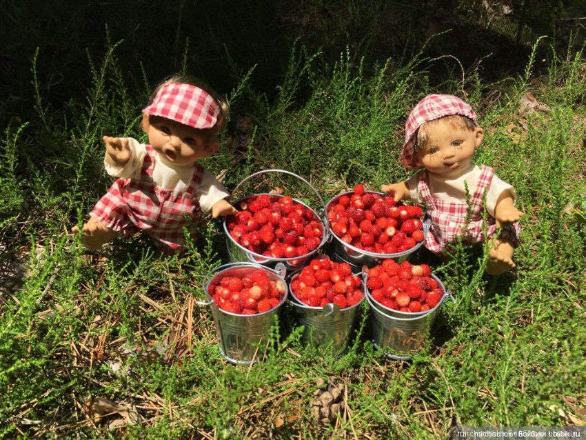 Данька-грибник! Как это было (фото 9)