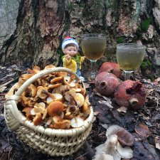 Данька-грибник! Как это было