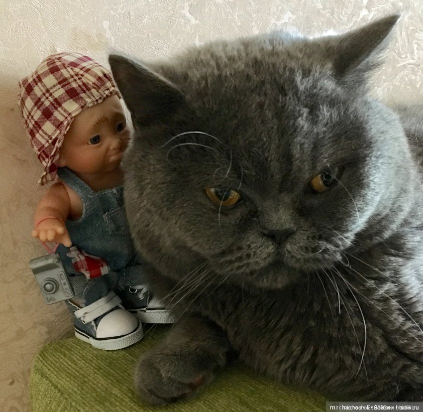 Зимняя сказка. Продолжение. День потрясений