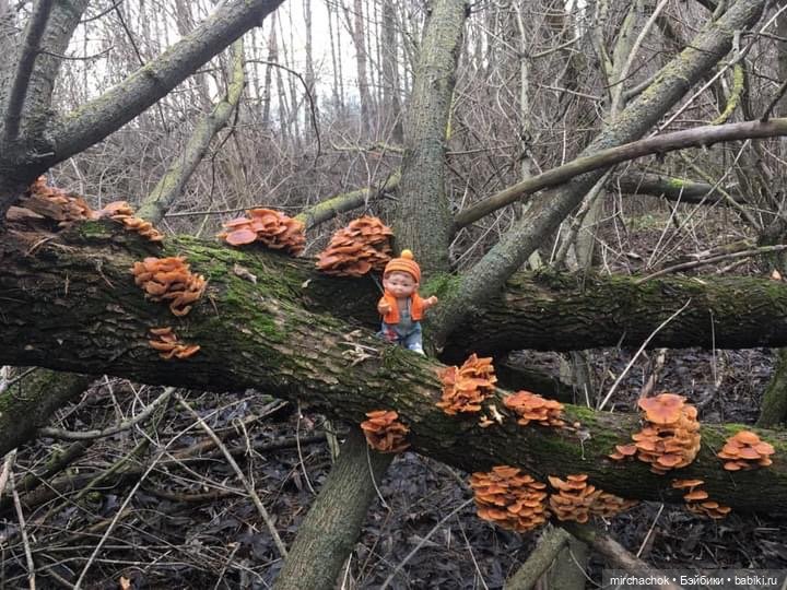 Зимняя сказка. Продолжение. День потрясений (фото 2)