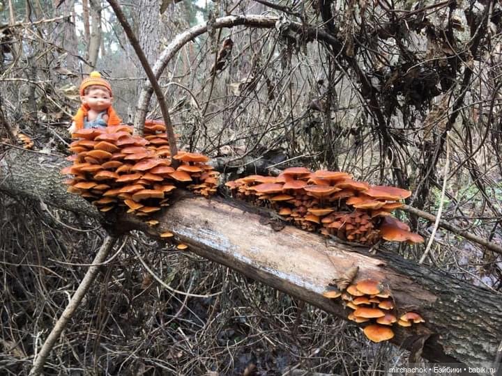 Зимняя сказка. Продолжение. День потрясений