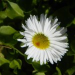 Куда делось лето?