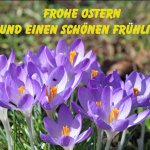 Поздравляю Всех с Католической Пасхой!