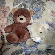 Мои спасенные зверики.