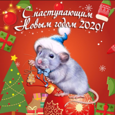 Год Крысы - один из самых счастливых годов по китайскому гороскопу?