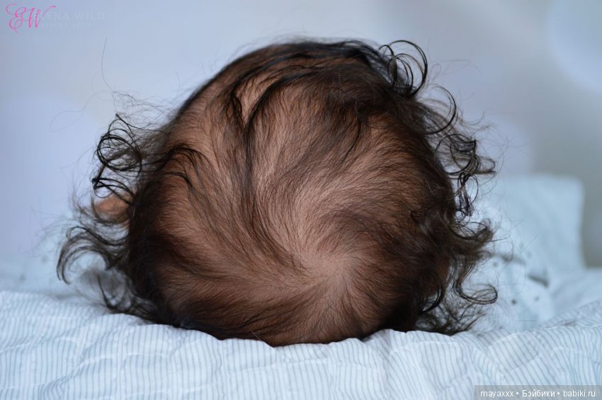 Улыбашка Phoenix от Andrea Arcello