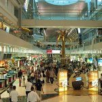 Коллекционные куклы в ОАЭ