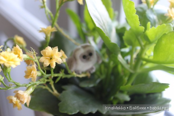 Маленькое плюшевое собрание