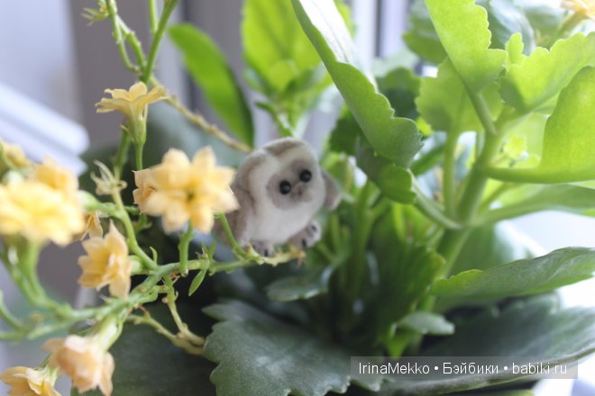 Маленькое плюшевое собрание (фото 2)