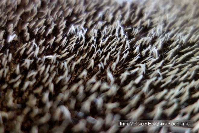 Ёжик своими руками. Зачем (фото 3)