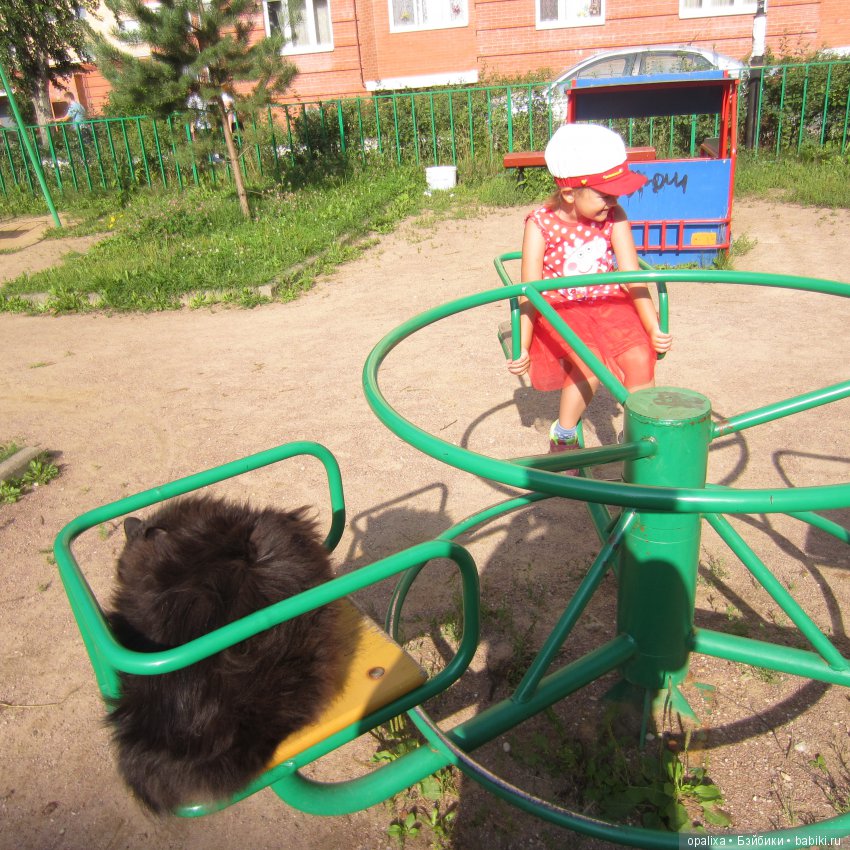 Гаррик-мой любимый кот _2 | Бэйбики Гаррик-мой любимый кот _2