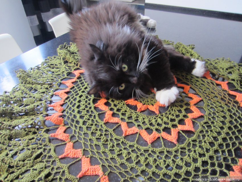 Гаррик-мой любимый кот _2 | Бэйбики Гаррик-мой любимый кот _2