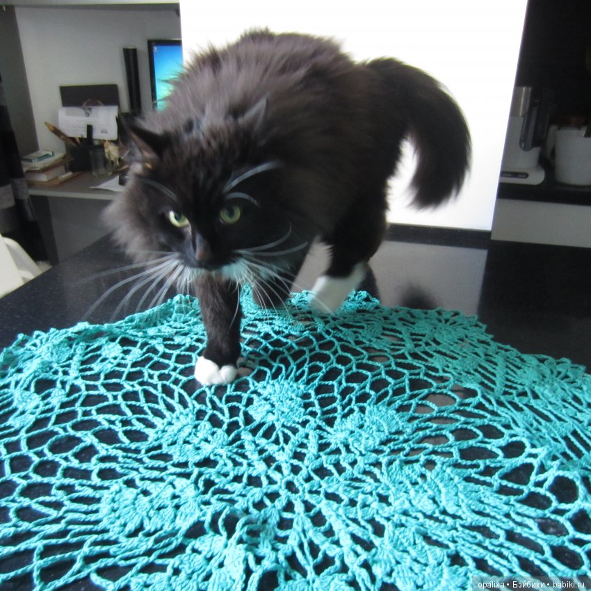 Гаррик-мой любимый кот _2 | Бэйбики Гаррик-мой любимый кот _2