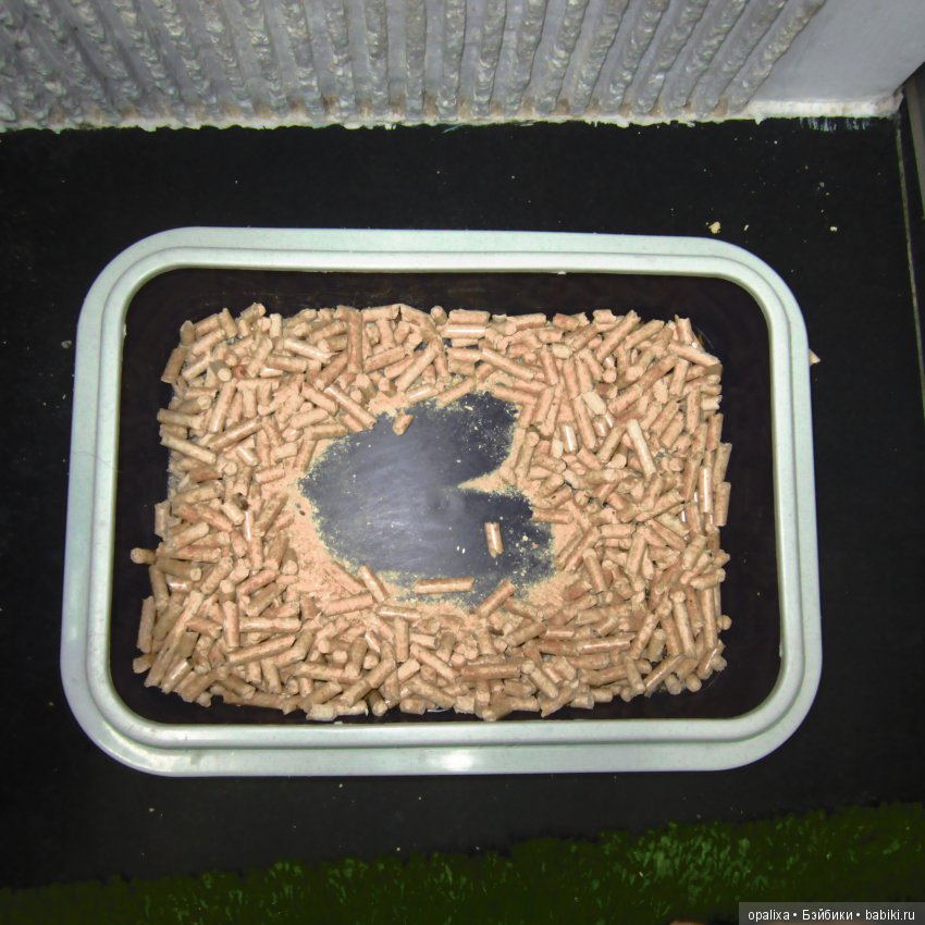 Гаррик-мой любимый кот _2 | Бэйбики Гаррик-мой любимый кот _2 (фото 7)