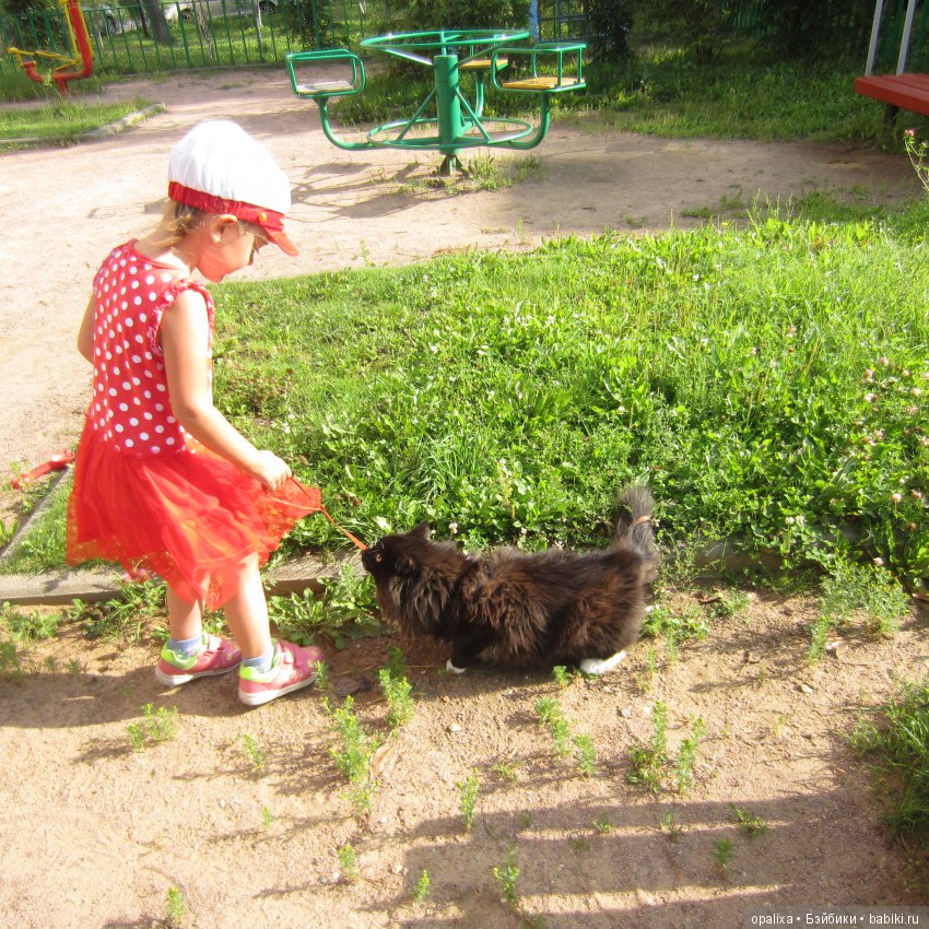 Гаррик-мой любимый кот _2 | Бэйбики Гаррик-мой любимый кот _2